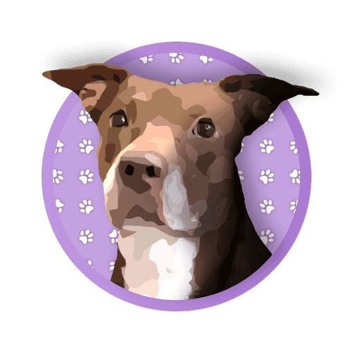 Maggie Moo logo