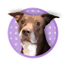 Maggie Moo logo