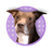 Maggie Moo logo